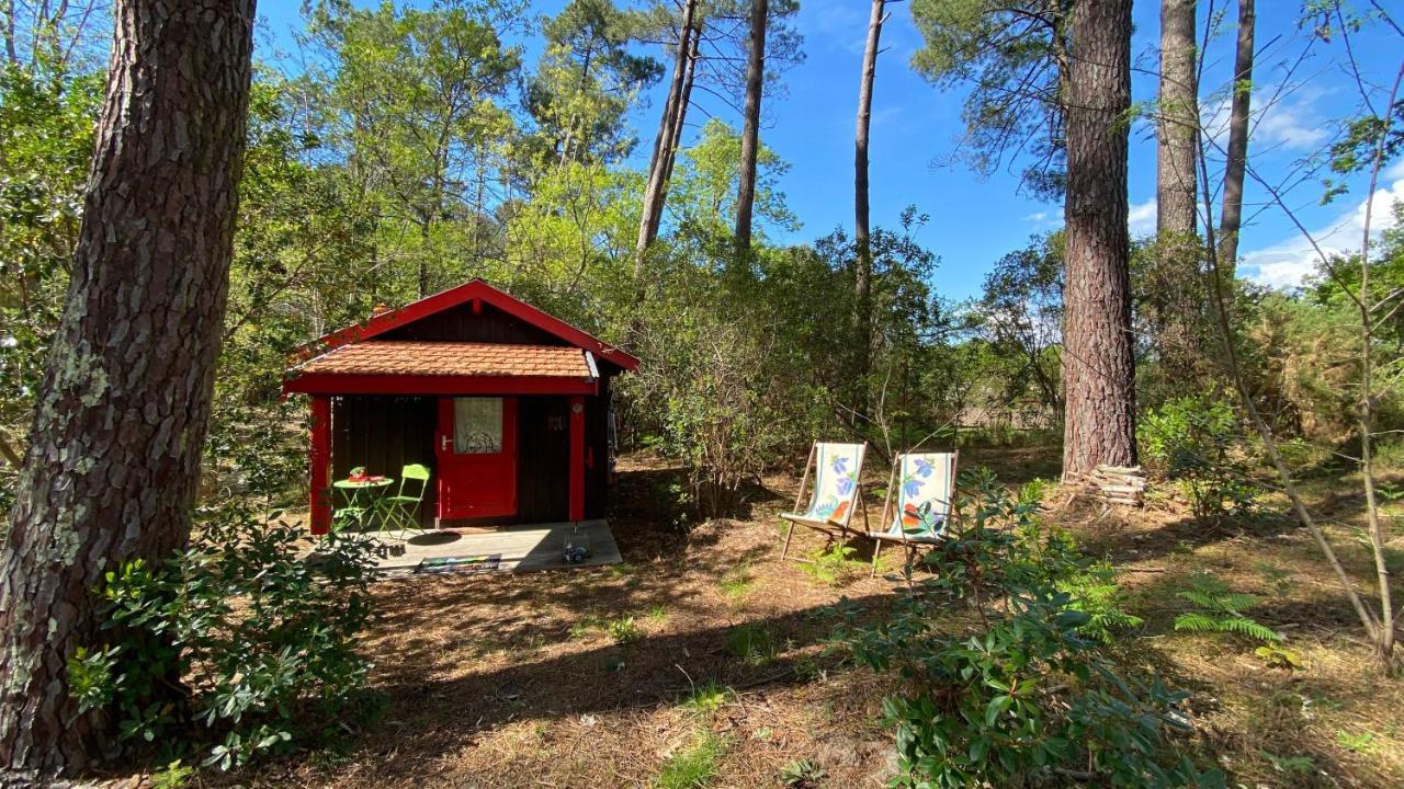 Le Petit Poulailler Au Beau Milieu Des Pins Villa Lacanau Exterior foto