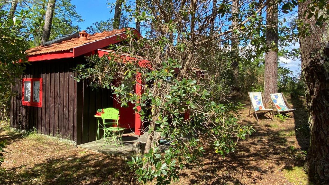 Le Petit Poulailler Au Beau Milieu Des Pins Villa Lacanau Exterior foto