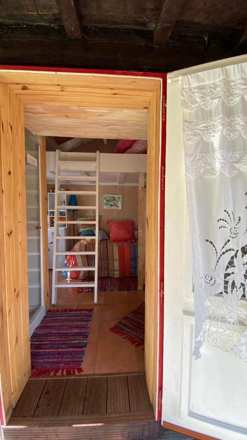 Le Petit Poulailler Au Beau Milieu Des Pins Villa Lacanau Exterior foto