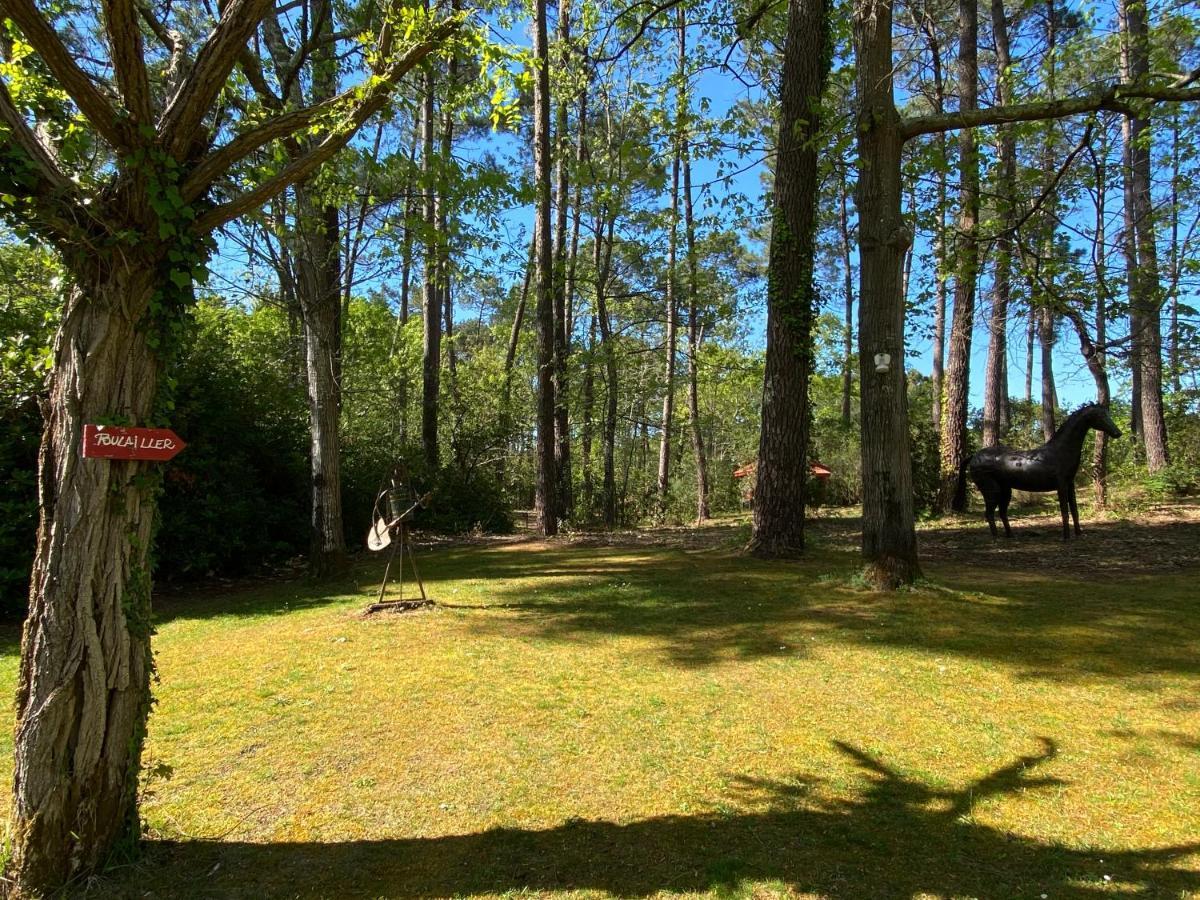 Le Petit Poulailler Au Beau Milieu Des Pins Villa Lacanau Exterior foto