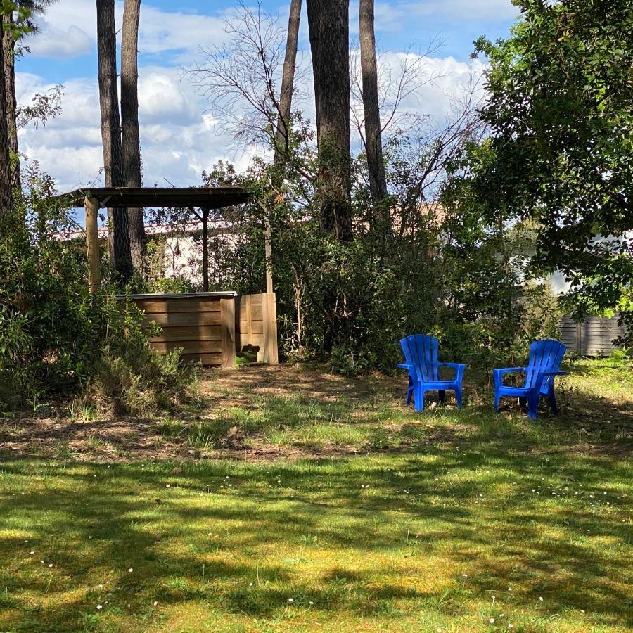 Le Petit Poulailler Au Beau Milieu Des Pins Villa Lacanau Exterior foto