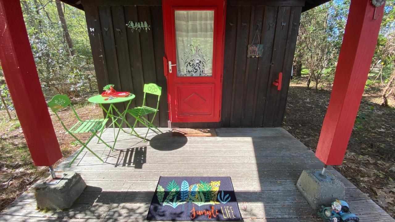 Le Petit Poulailler Au Beau Milieu Des Pins Villa Lacanau Exterior foto