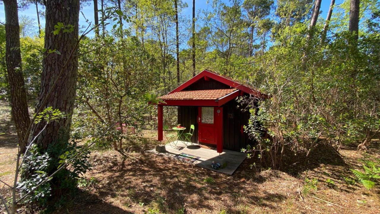 Le Petit Poulailler Au Beau Milieu Des Pins Villa Lacanau Exterior foto