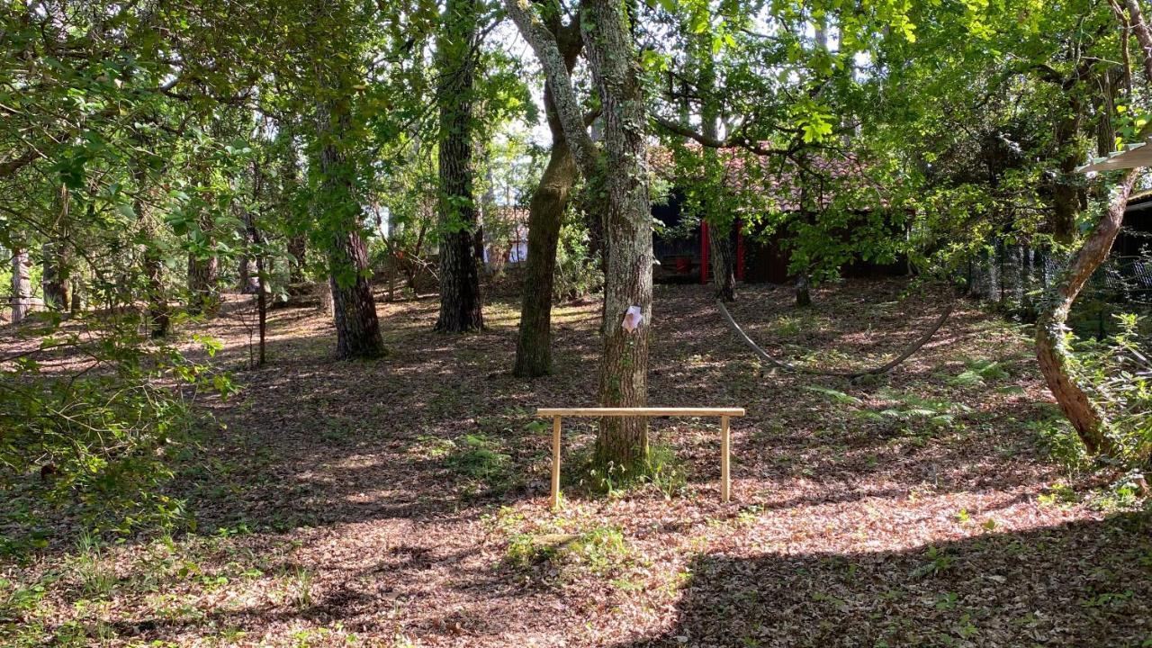 Le Petit Poulailler Au Beau Milieu Des Pins Villa Lacanau Exterior foto