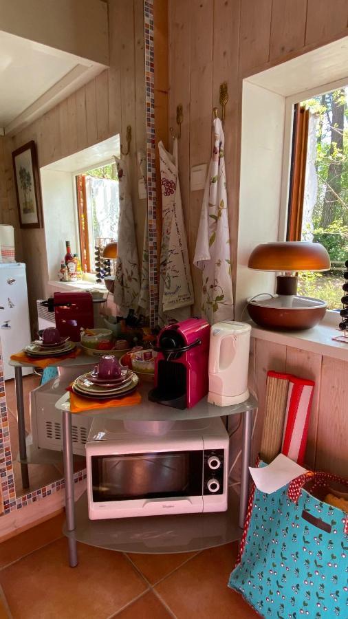 Le Petit Poulailler Au Beau Milieu Des Pins Villa Lacanau Exterior foto