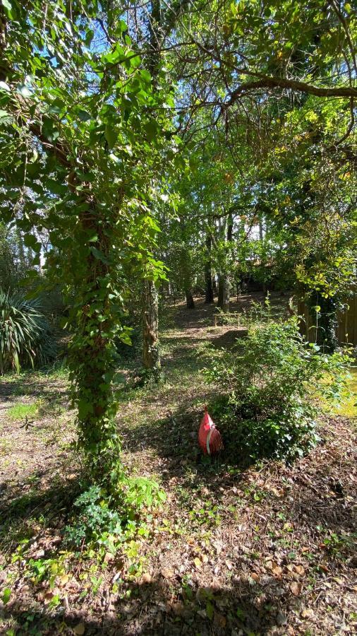 Le Petit Poulailler Au Beau Milieu Des Pins Villa Lacanau Exterior foto