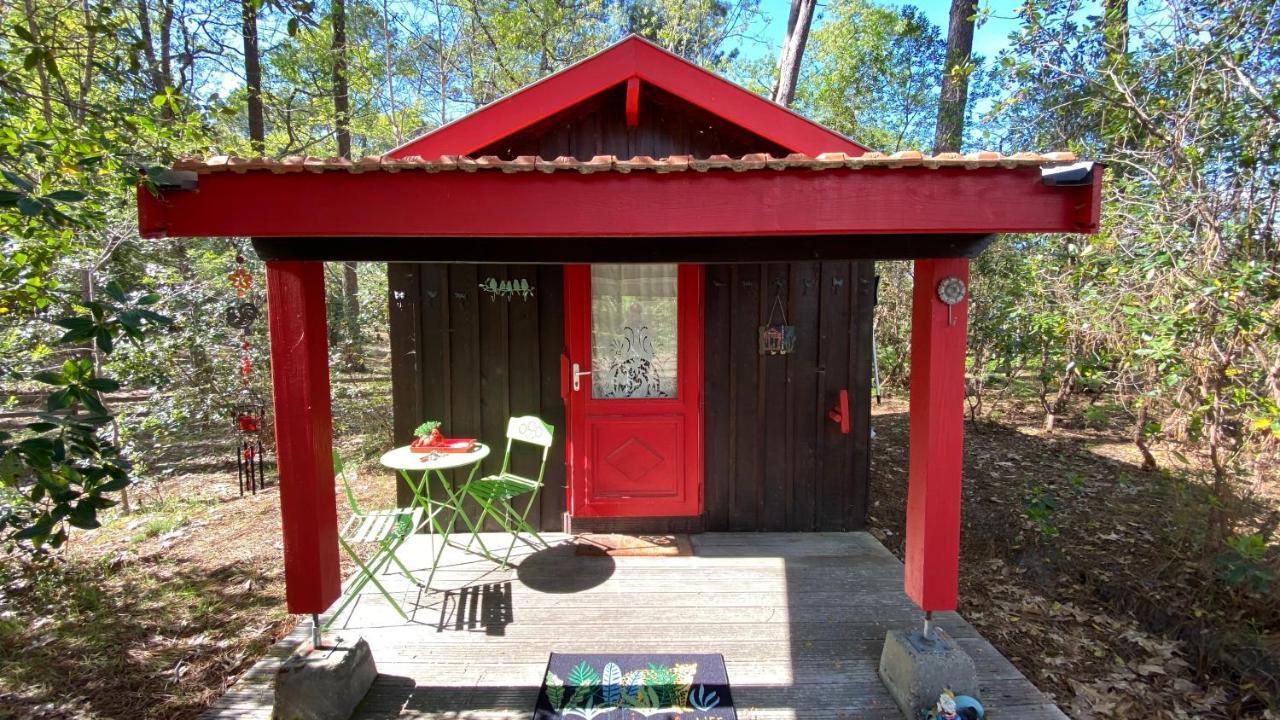 Le Petit Poulailler Au Beau Milieu Des Pins Villa Lacanau Exterior foto